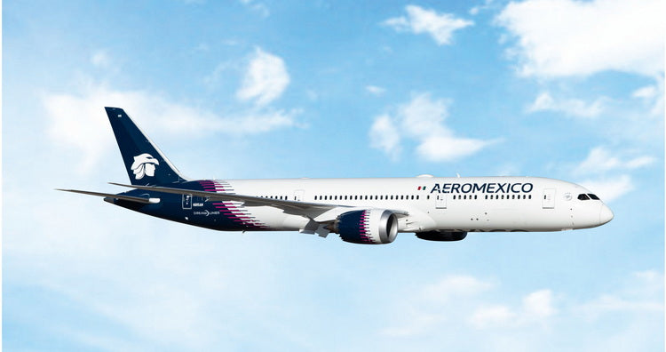 Phoenix 【予約商品】787-9 アエロメヒコ航空 N815AM (PH20251226) [12078]