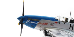 P-51C アメリカ陸軍航空軍 第352戦闘航空群 第487戦闘飛行隊 （保存機）2007年 #43-25147/NL487FS 「プリンセス・エリザベス」 1/48[HA8516](20240630)