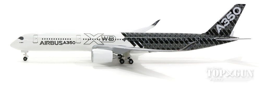 A350-900XWB エアバス社 ハウスカラー 「カーボン・ファイバー」 F-WWCF 1/500 [528801]