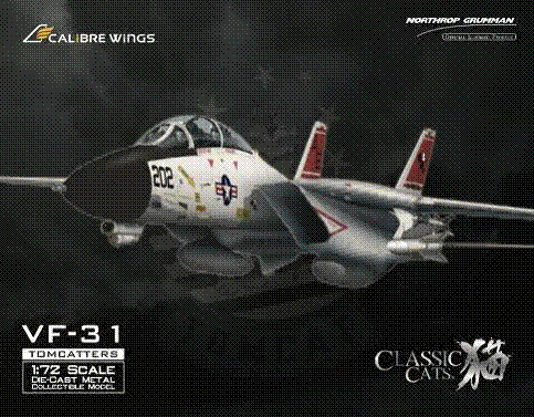 F-14A アメリカ海軍 第31戦闘飛行隊 「トムキャッターズ」 AE202/#161858 1/72 [CA721412]