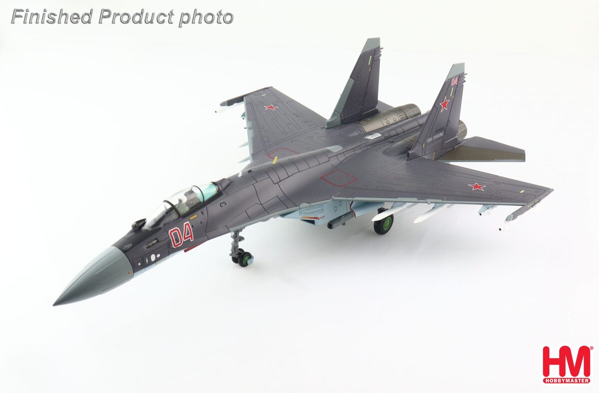 Su-33 フランカー セルジュコフ迷彩 完成品 - 模型/プラモデル