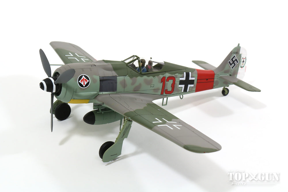 Fw190A-7 ドイツ空軍 第1戦闘航空団 第II飛行隊 隊長ハインツ・ベーア大尉機 200機撃墜時 シュテルメーデ基地 44年4月 1/48  [HA7417]