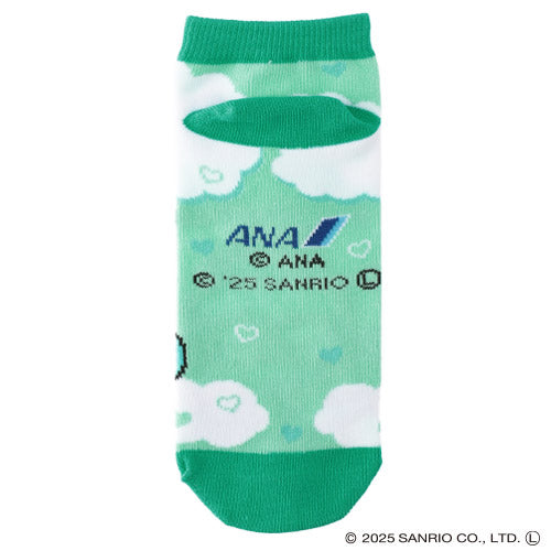 FUJISEY 全日空 ANA × SRC（サンリオキャラクターズ）靴下