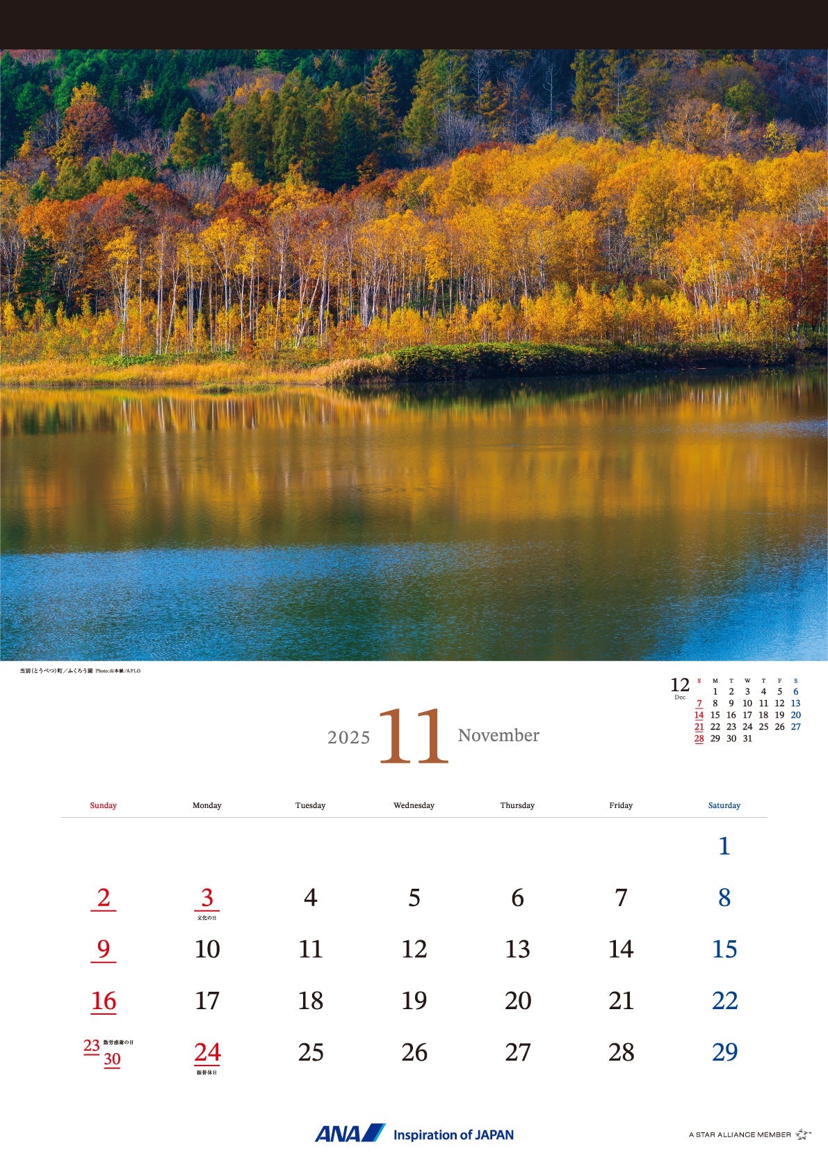 2025 ANA Graphic Gallery Wall Calendar Hokkaido [4961506311013] 