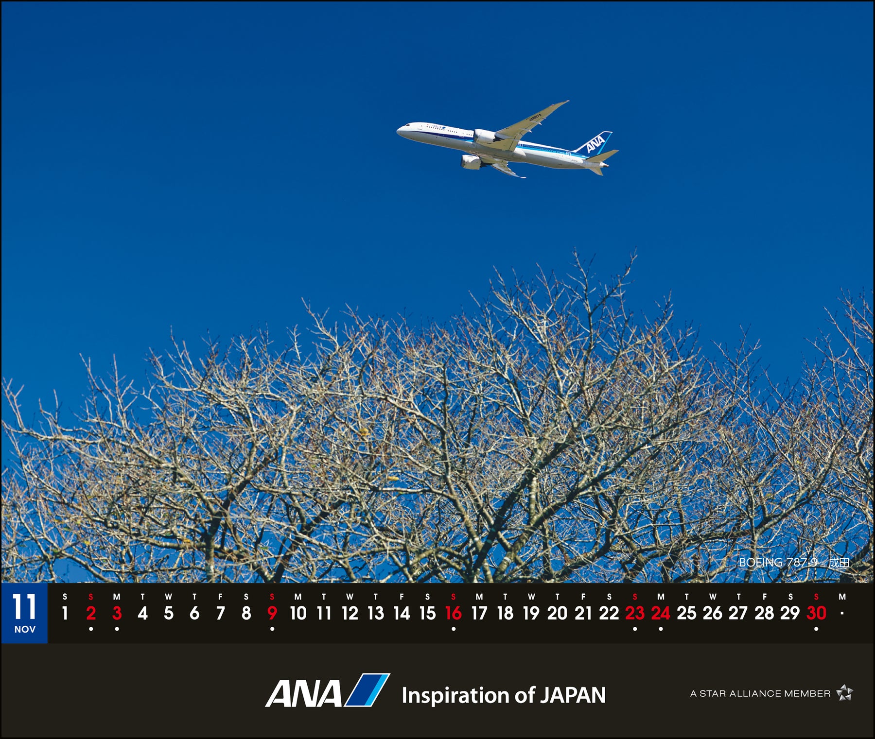 【予約商品】2025年版 卓上ANA 787カレンダー (ANA20240803) [4961506311129]