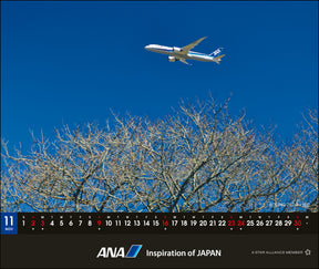 【予約商品】2025年版 卓上ANA 787カレンダー (ANA20240803) [4961506311129]