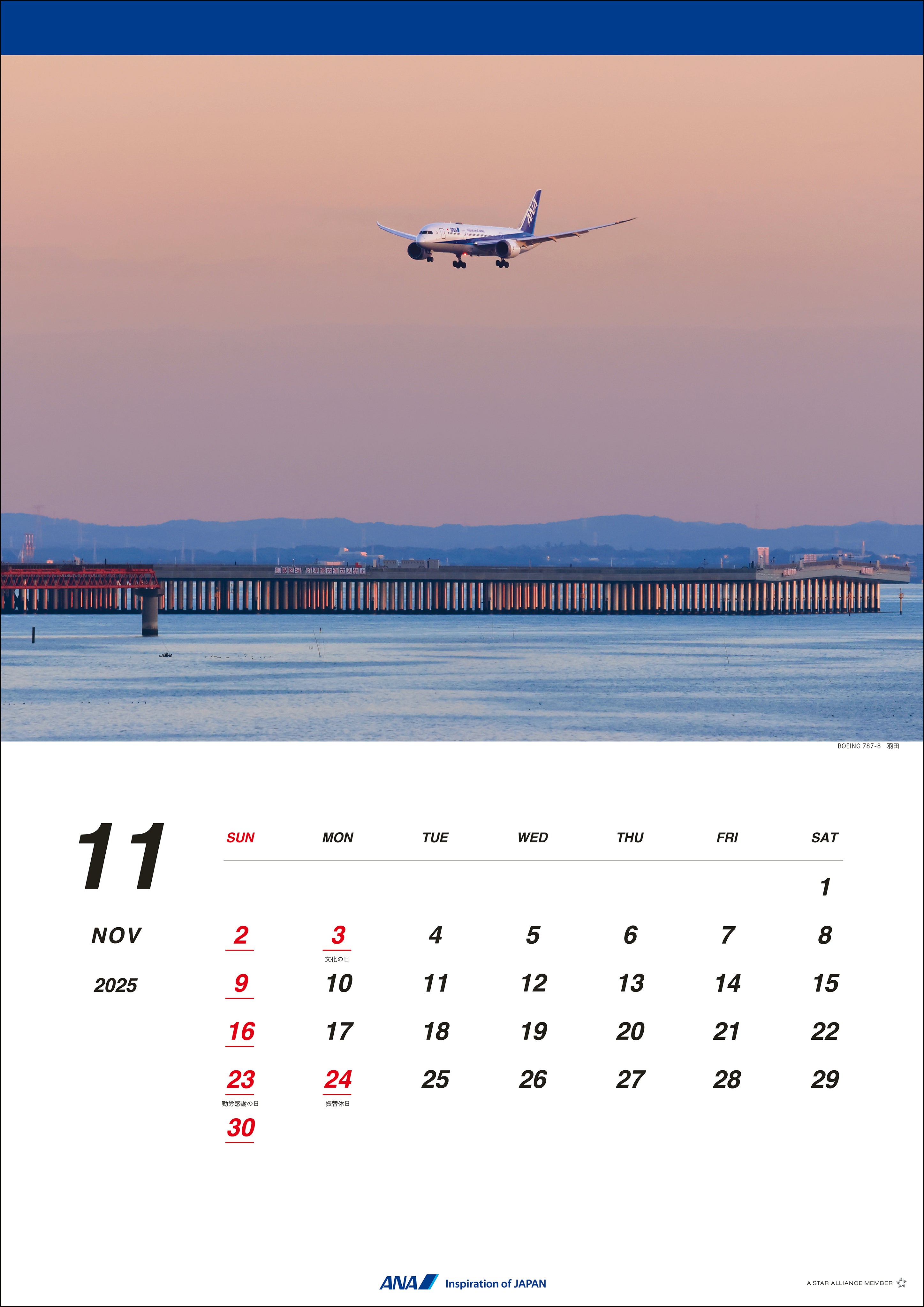 2025 ANA 787 Wall Calendar [4961506311112] 