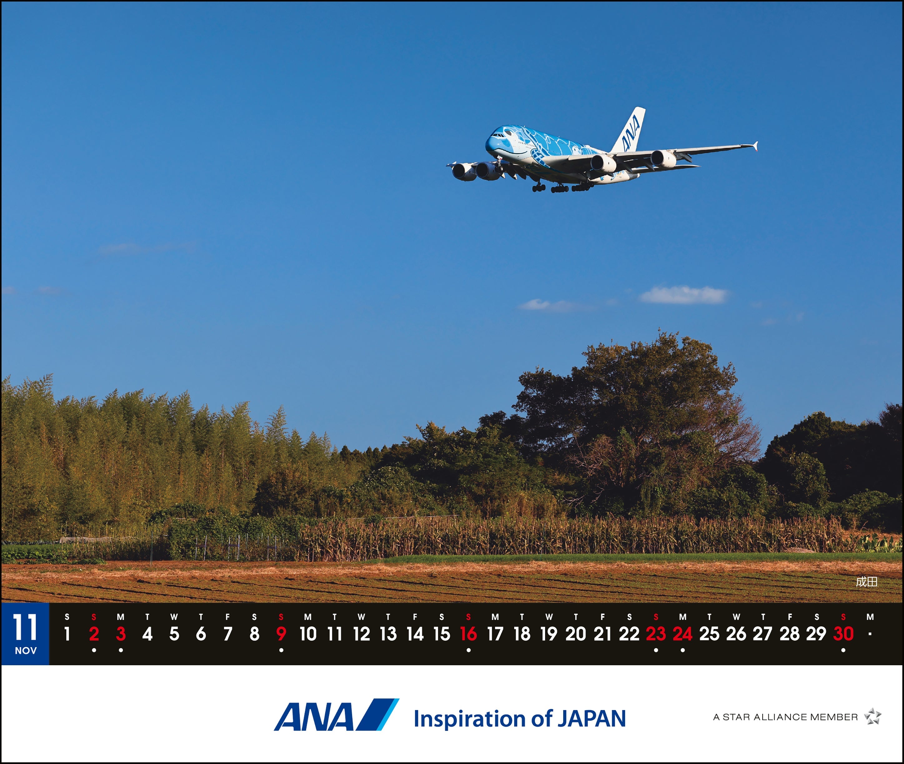 2025 Edition ANA A380 FLYING HONU Desktop Calendar [4961506311105] 