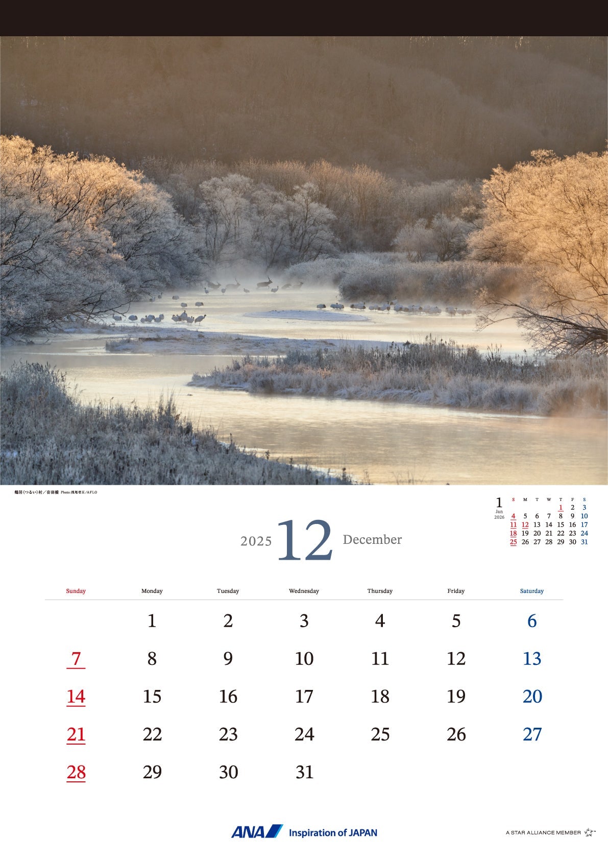 2025 ANA Graphic Gallery Wall Calendar Hokkaido [4961506311013] 