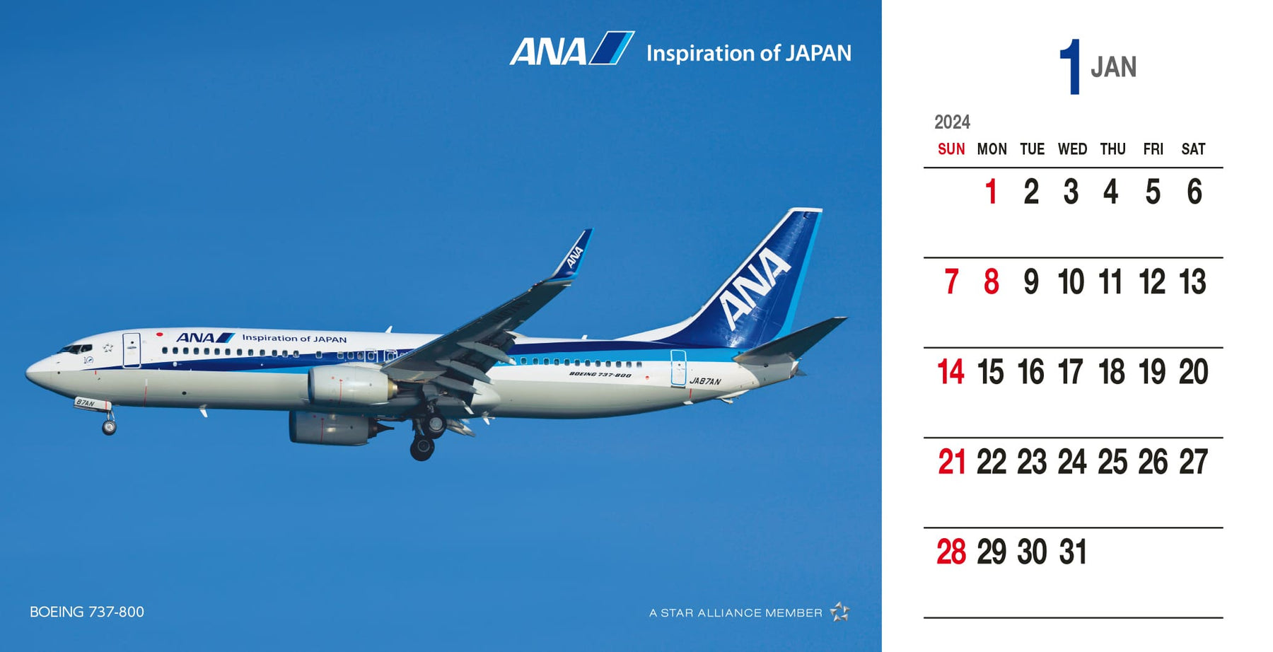 AMX天草エアラインDHC-8-103(JA81AM)1:100 - 航空機