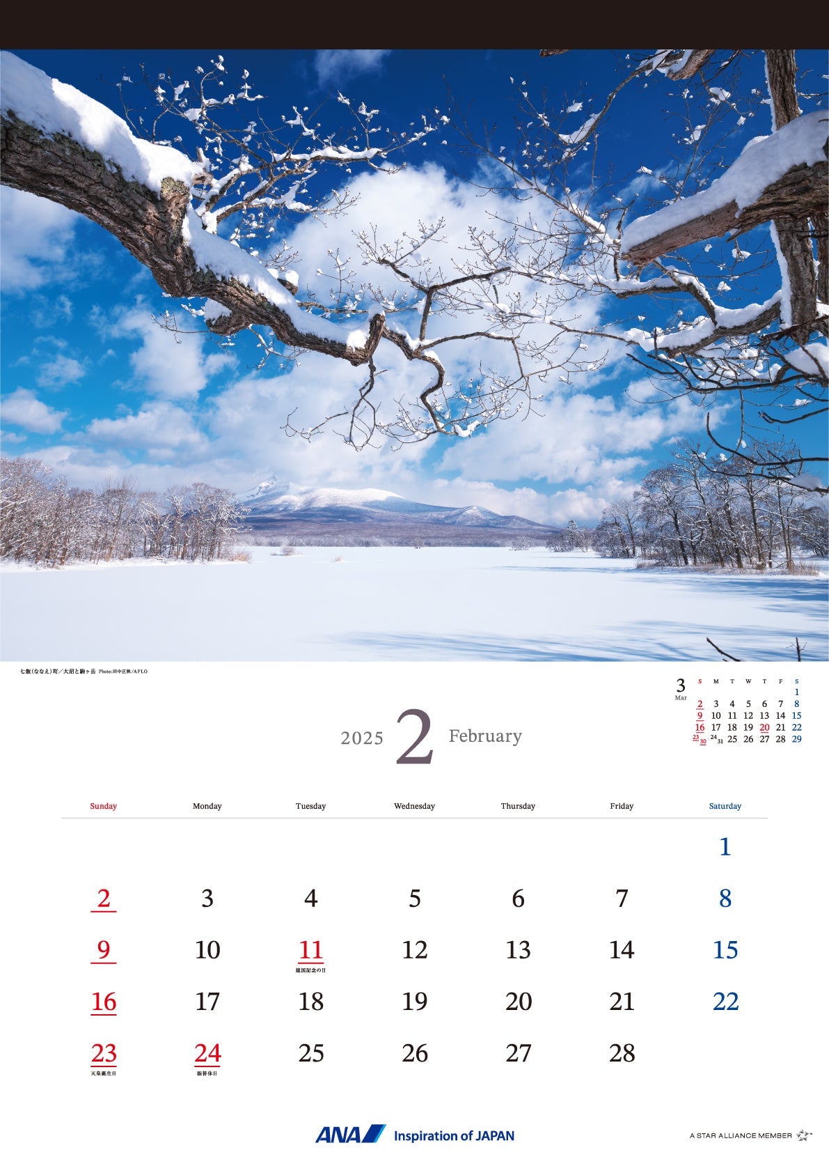 2025 ANA Graphic Gallery Wall Calendar Hokkaido [4961506311013] 