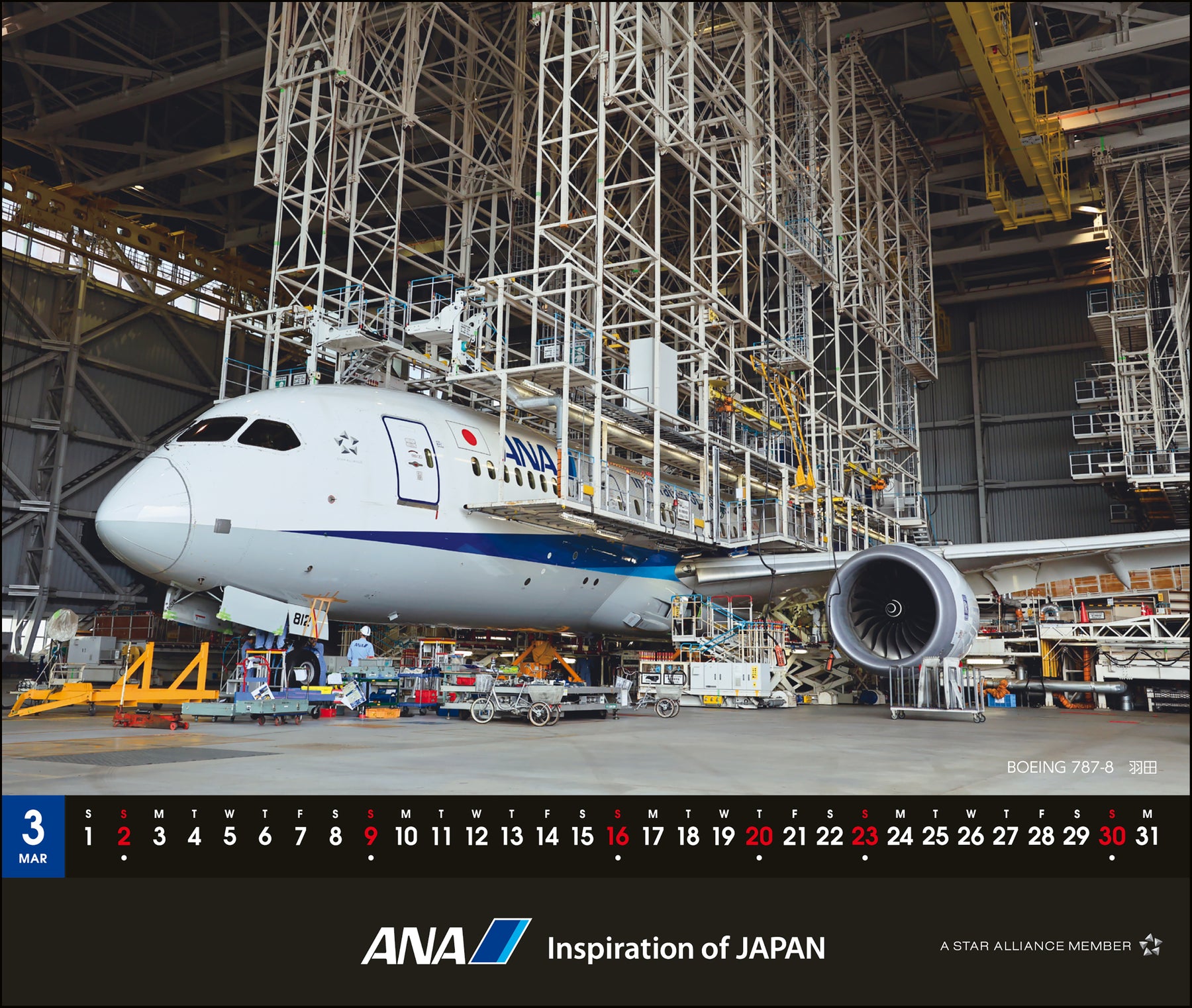 【予約商品】2025年版 卓上ANA 787カレンダー (ANA20240803) [4961506311129]