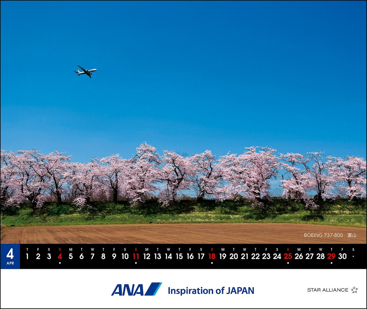 【予約商品】2027年版 ルーク・オザワ撮影 卓上 ANAメモカレンダー (ANC20260817)［4961506311631］