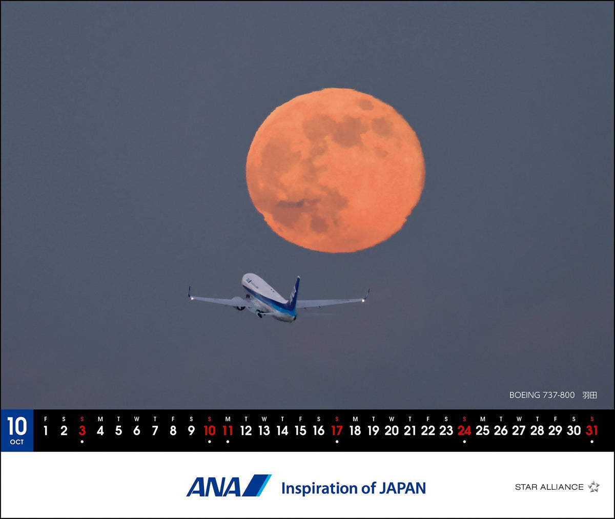 【予約商品】2027年版 ルーク・オザワ撮影 卓上 ANAメモカレンダー (ANC20260817)［4961506311631］