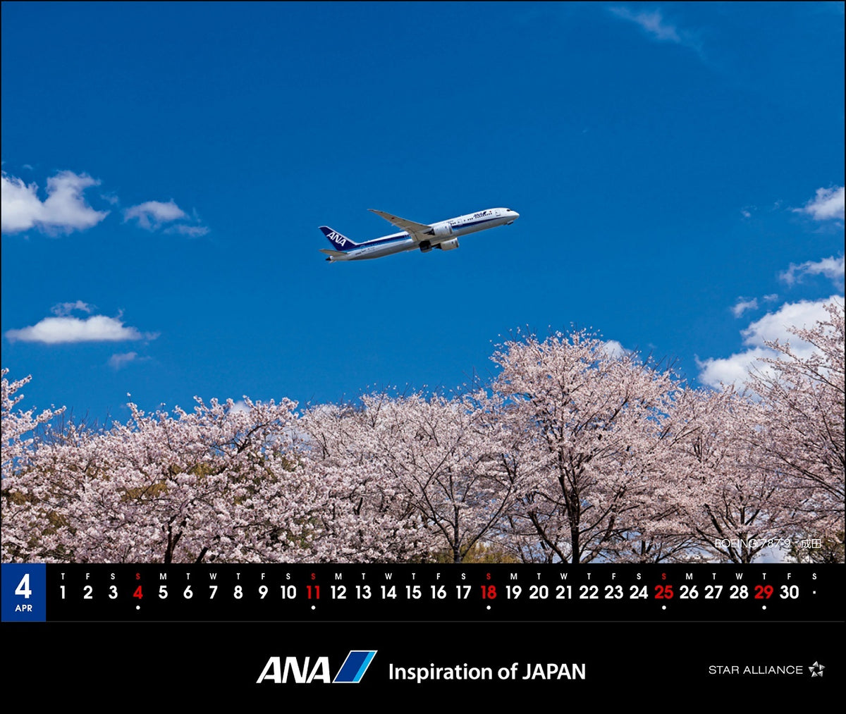 【予約商品】2027年版 ルーク・オザワ撮影 卓上 ANA 787カレンダー (ANC20260817)［4961506311686］