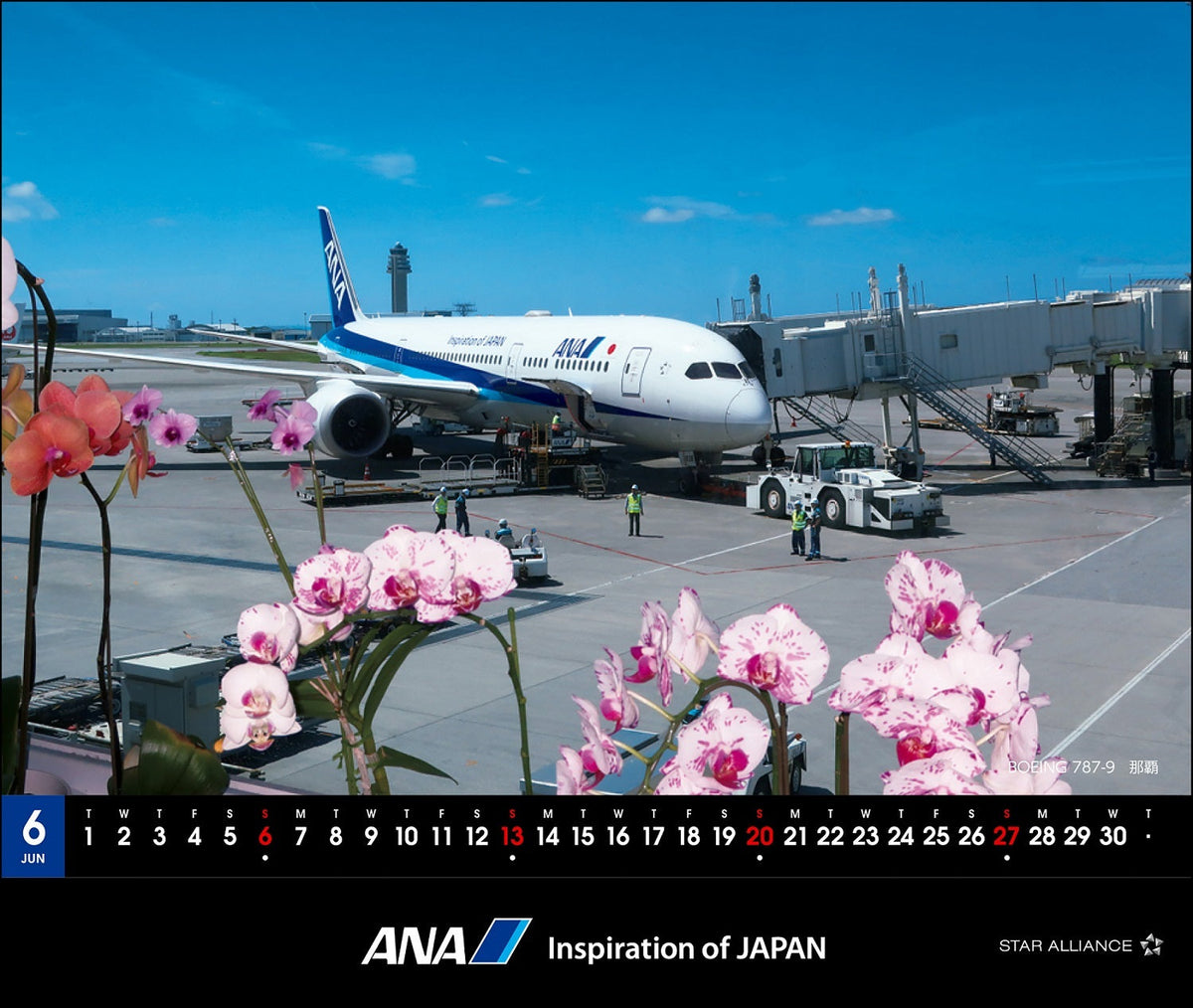 全日空 2027年版 ルーク・オザワ撮影 卓上 ANA 787カレンダー [4961506311686]
