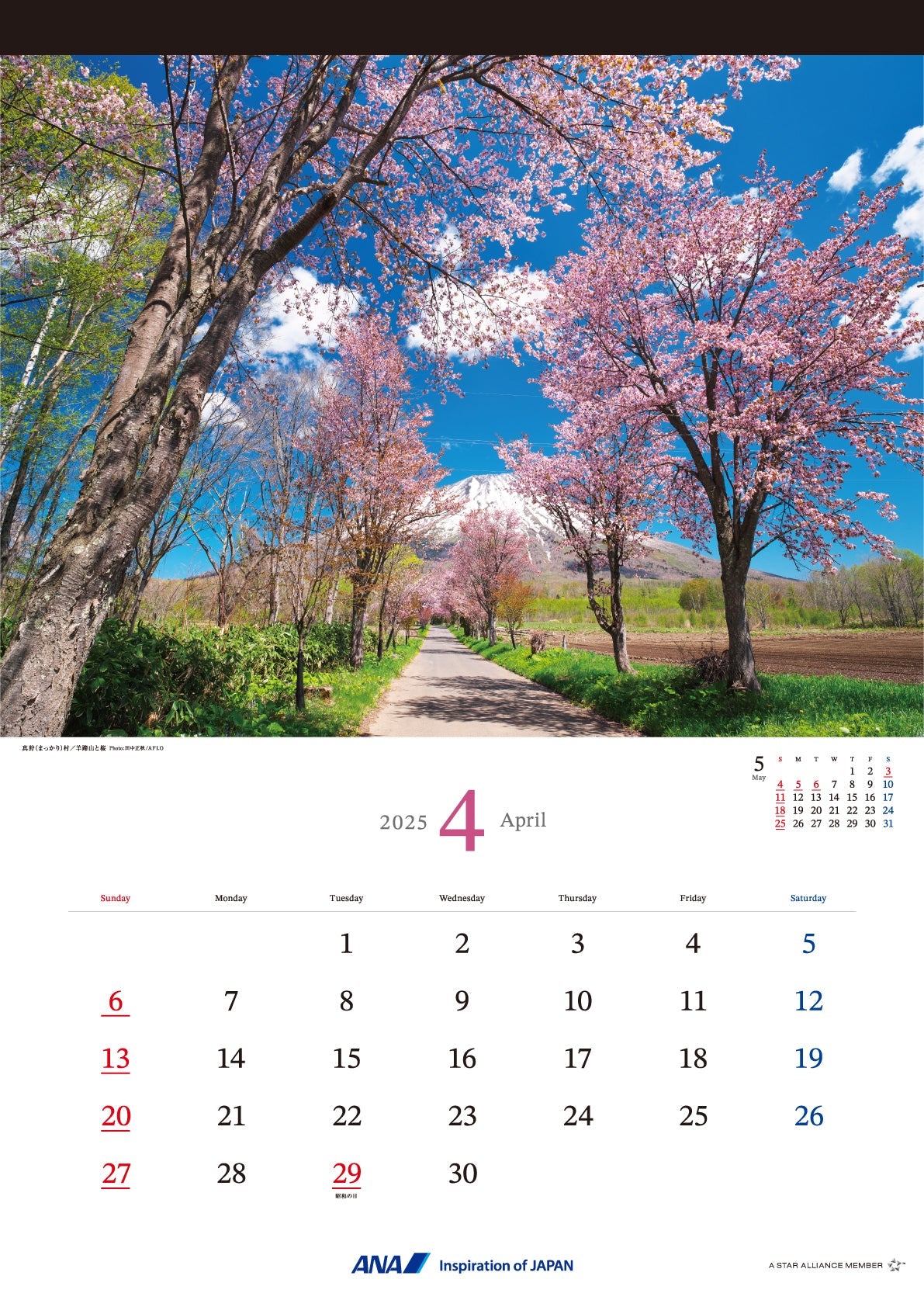 2025 ANA Graphic Gallery Wall Calendar Hokkaido [4961506311013] 