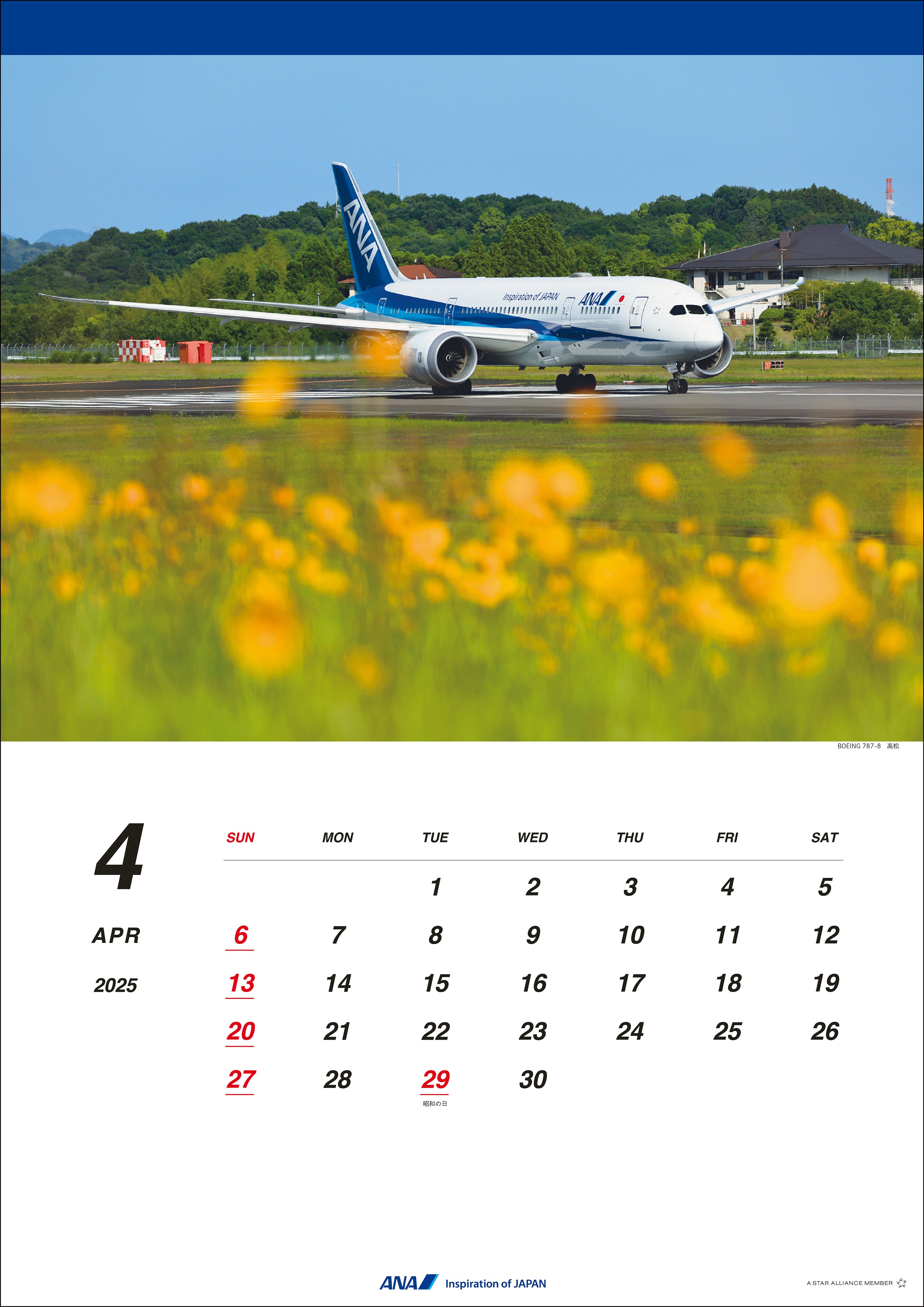 2025 ANA 787 Wall Calendar [4961506311112] 