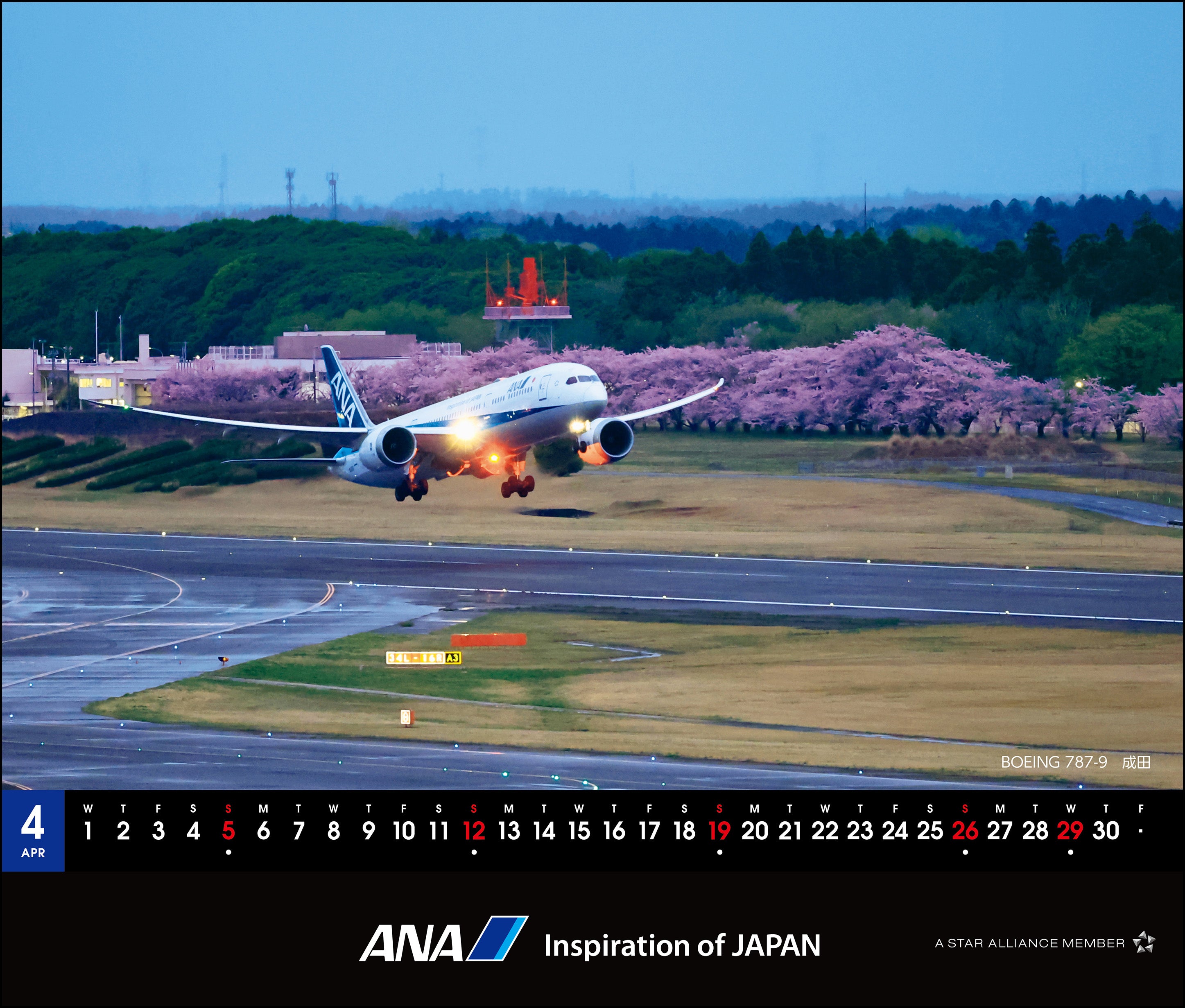 【予約商品】2026年版 卓上 ANA 787 カレンダー (AC20250826) [4961506311334]