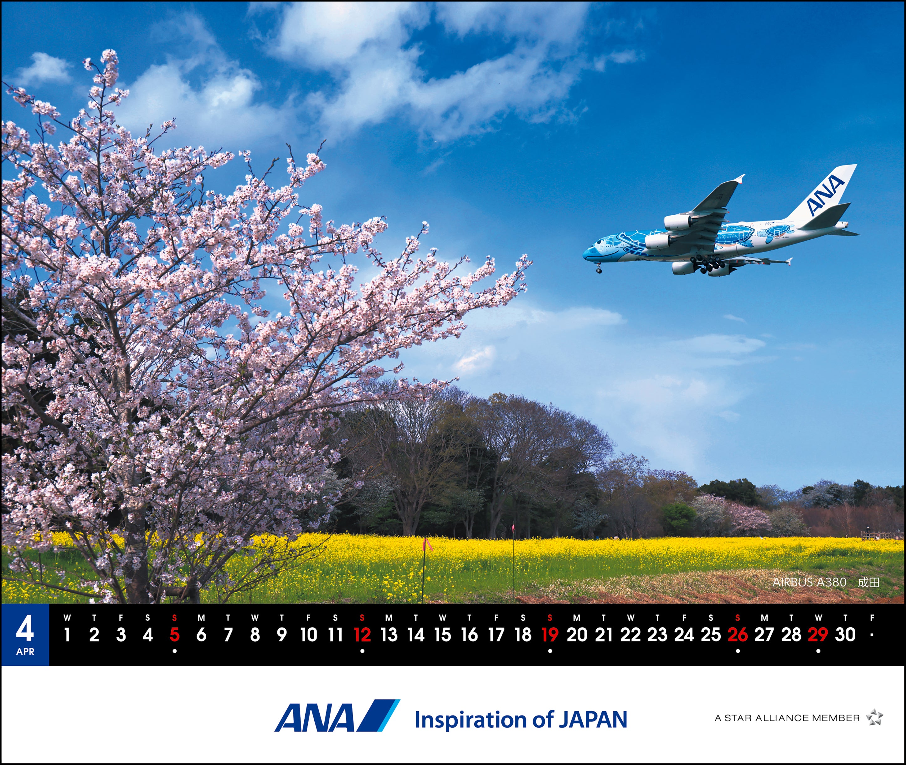 【予約商品】2026年版 卓上 ANA メモカレンダー (AC20250826) [4961506311280]