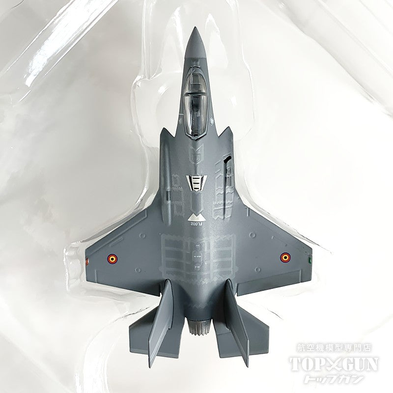 F-35A ライトニングⅡ ベルギー航空構成部隊 第312戦闘飛行隊 FL002 1/200 [573641]