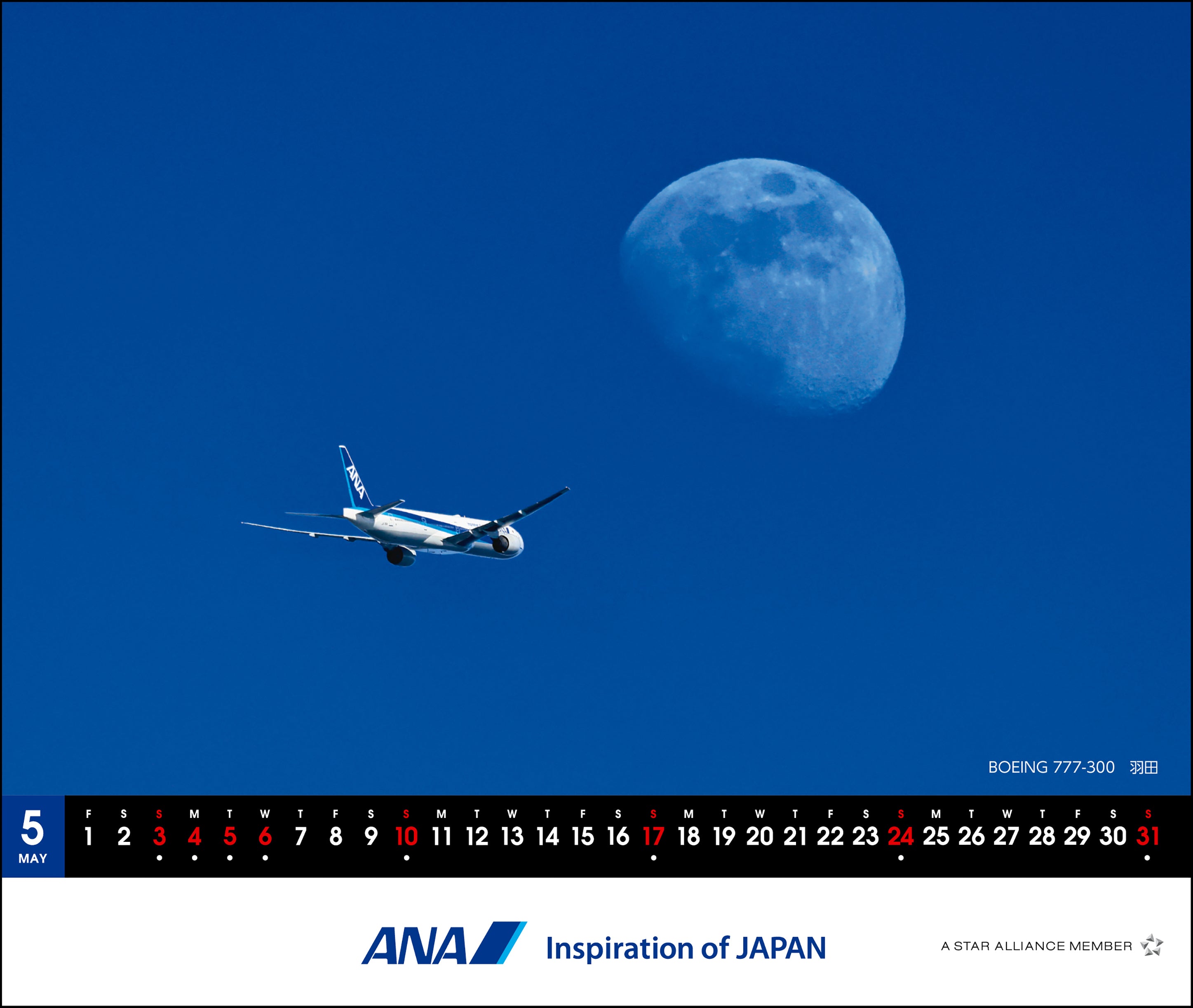 【予約商品】2026年版 卓上 ANA メモカレンダー (AC20250826) [4961506311280]
