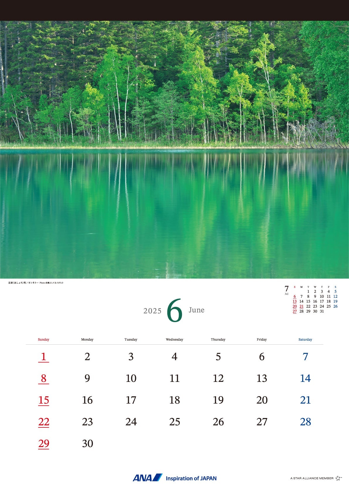 2025 ANA Graphic Gallery Wall Calendar Hokkaido [4961506311013] 