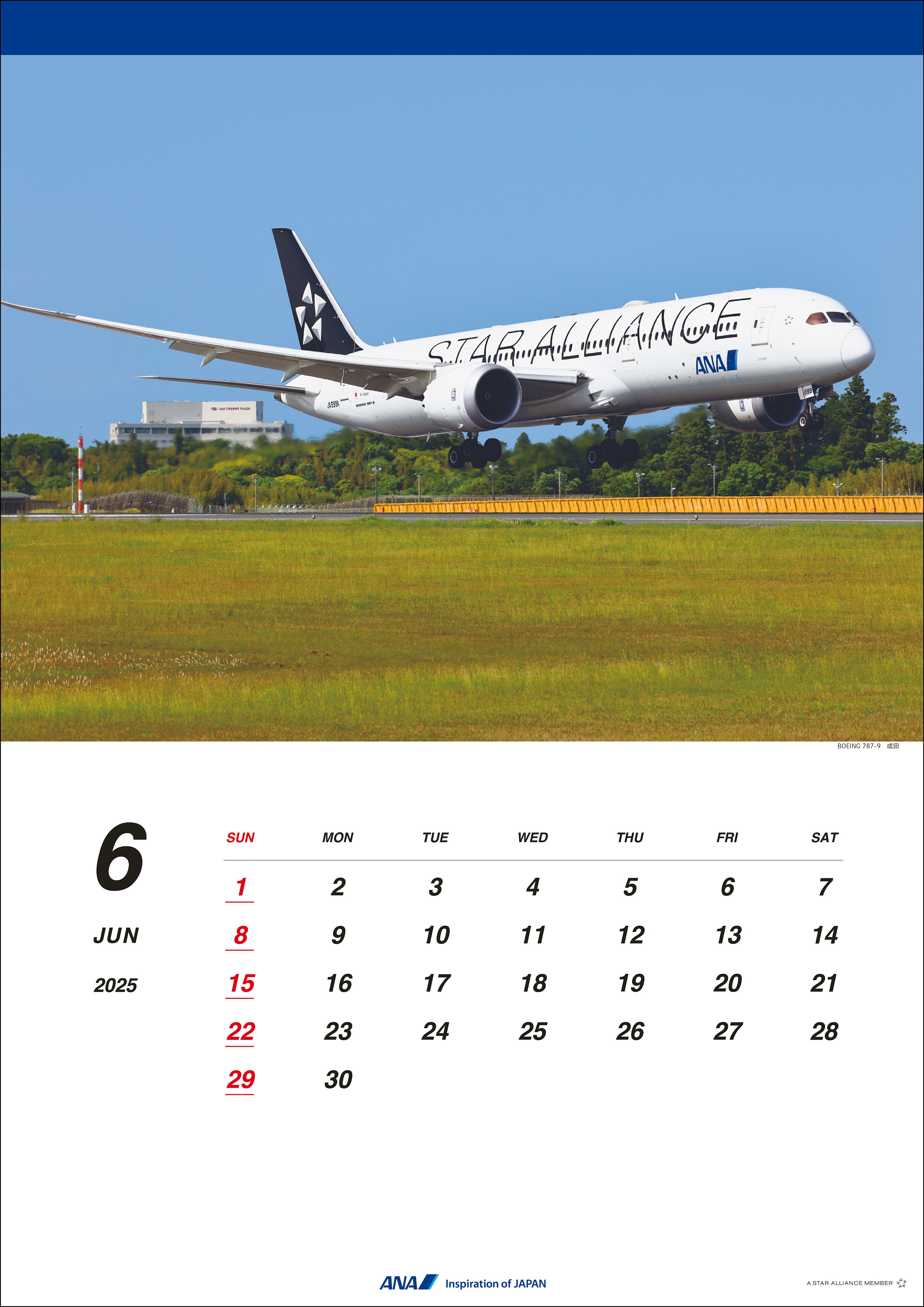 2025 ANA 787 Wall Calendar [4961506311112] 