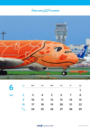 2024年度版 壁掛ANA A380 FLYING HONU(フライングホヌ) カレンダー[4961506310887]