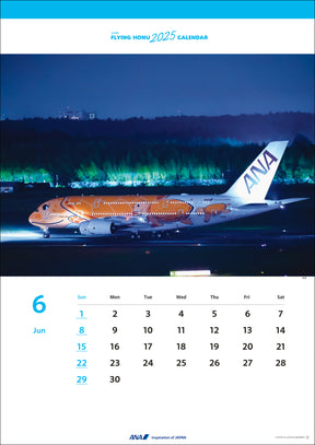 【予約商品】2025年版 壁掛ＡＮＡ Ａ３８０ ＦＬＹＩＮＧ ＨＯＮＵカレンダー (ANA20240803) [4961506311099]