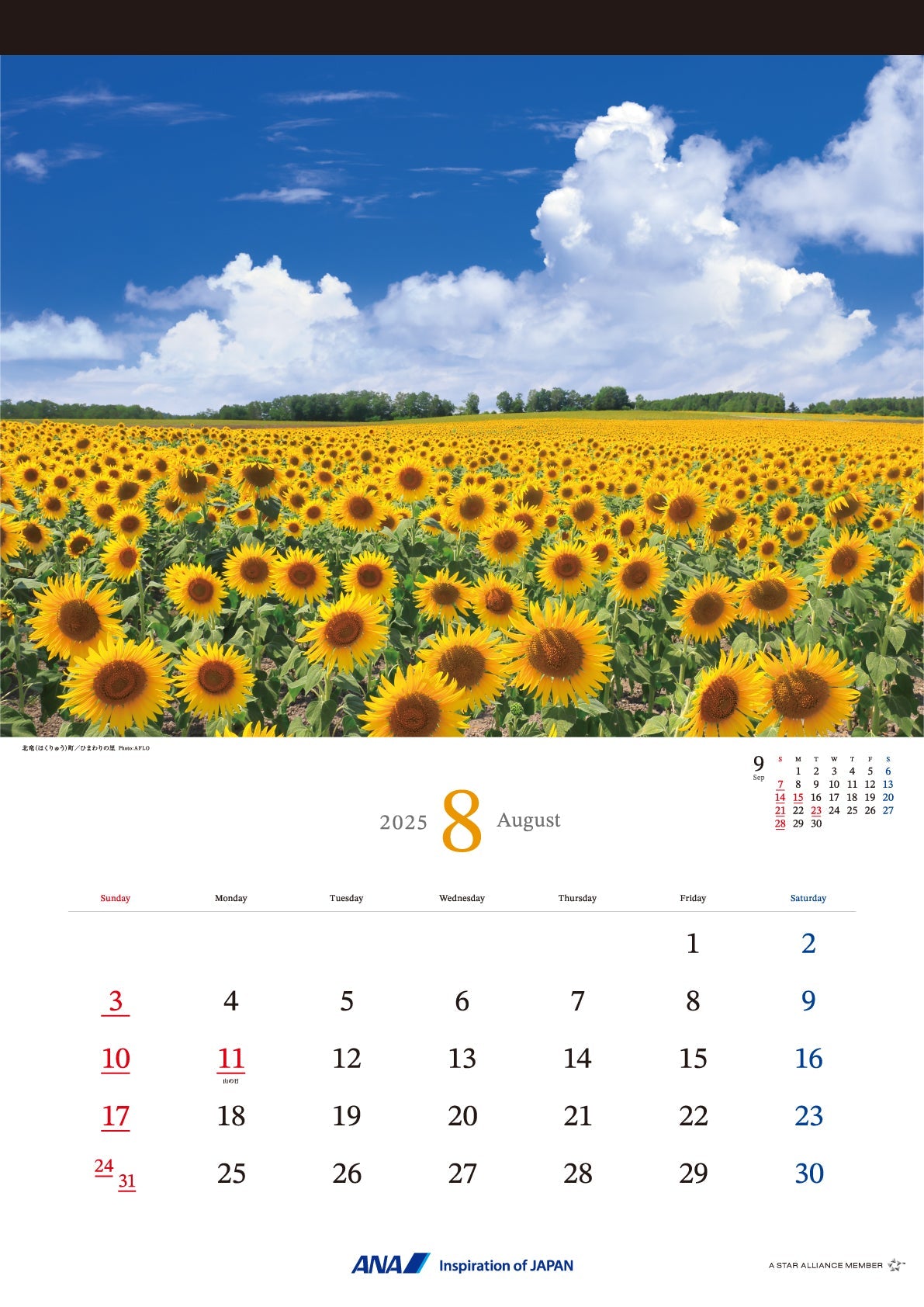 2025 ANA Graphic Gallery Wall Calendar Hokkaido [4961506311013] 