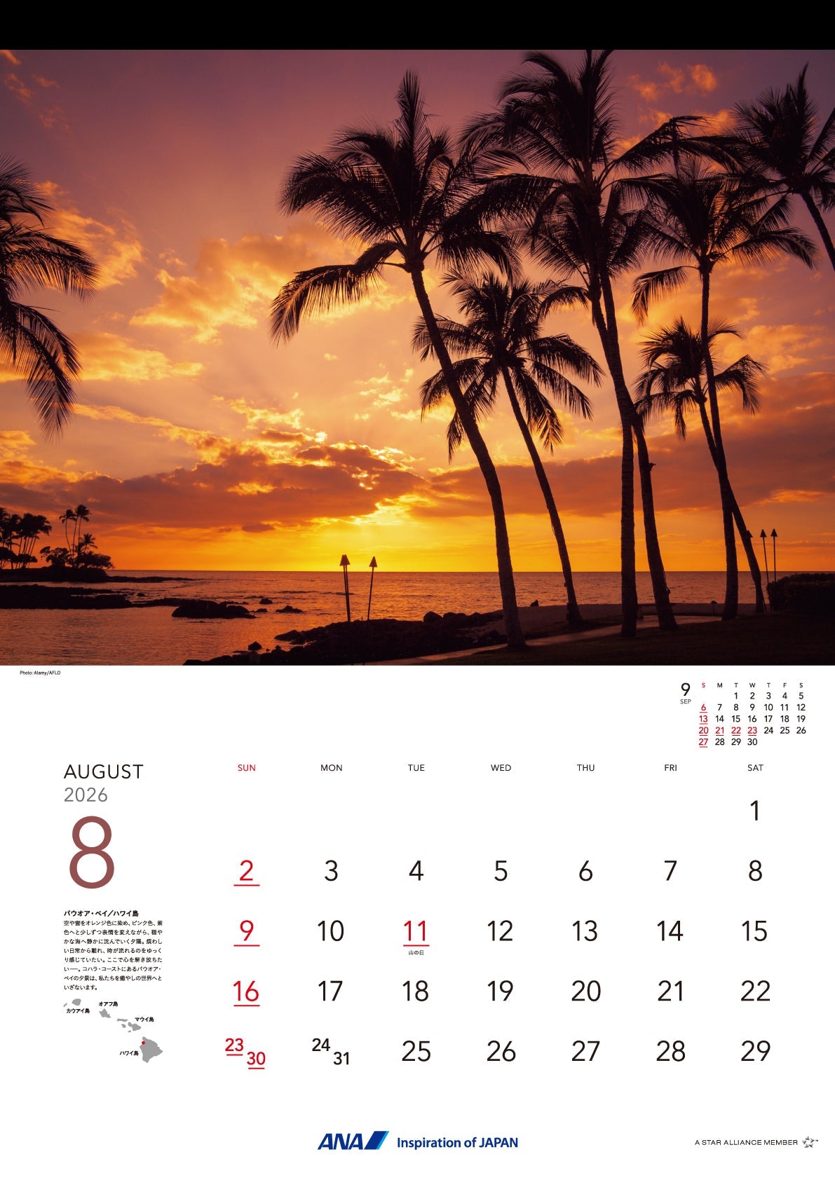 海外限定】レガシー ライトセーバー ヒルツ カウントダウンカレンダー