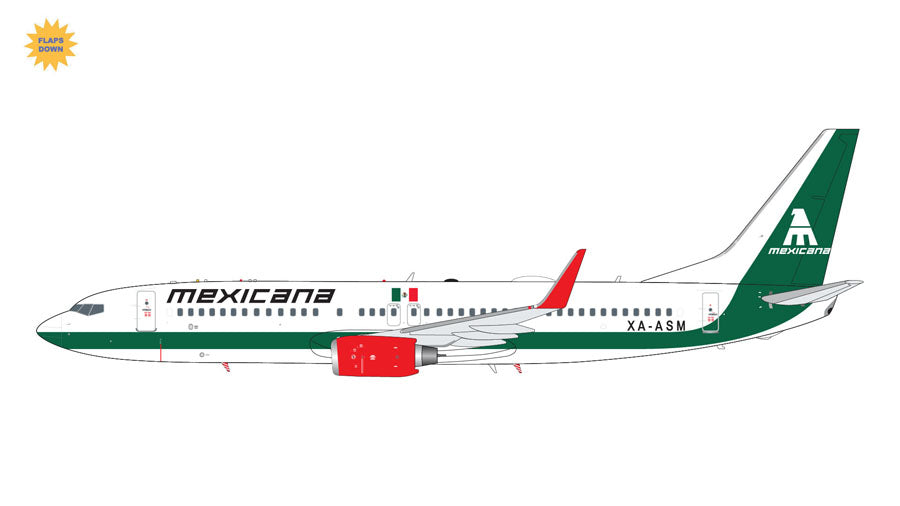 【予約商品】737-800W メキシカーナ航空 ※フラップダウンモデル　XA-ASM　1/200 (GJ20240518) [G2MXA1303F]