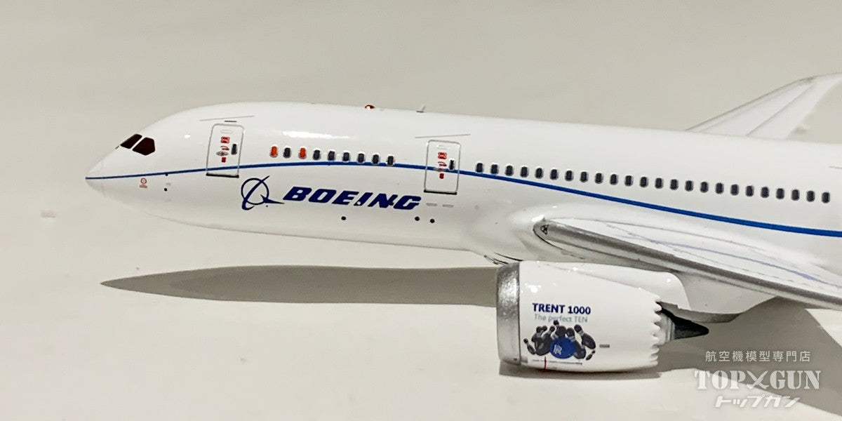 787-8 Boeing House Color N7874 1/400 [AV4245] 