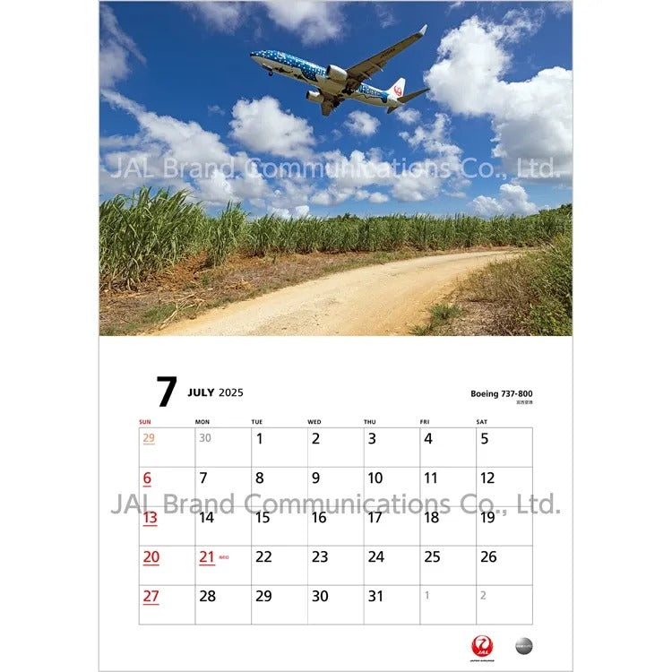 JAL FLEET Calendar 2025 Wall Hanging Regular Size (Japanese Version) [BCAL205] 