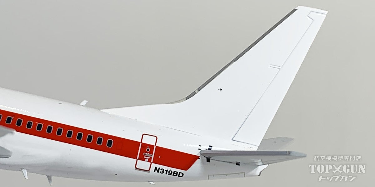 B737-600 EG&G N319BD 1/200 [G2EGG1385]