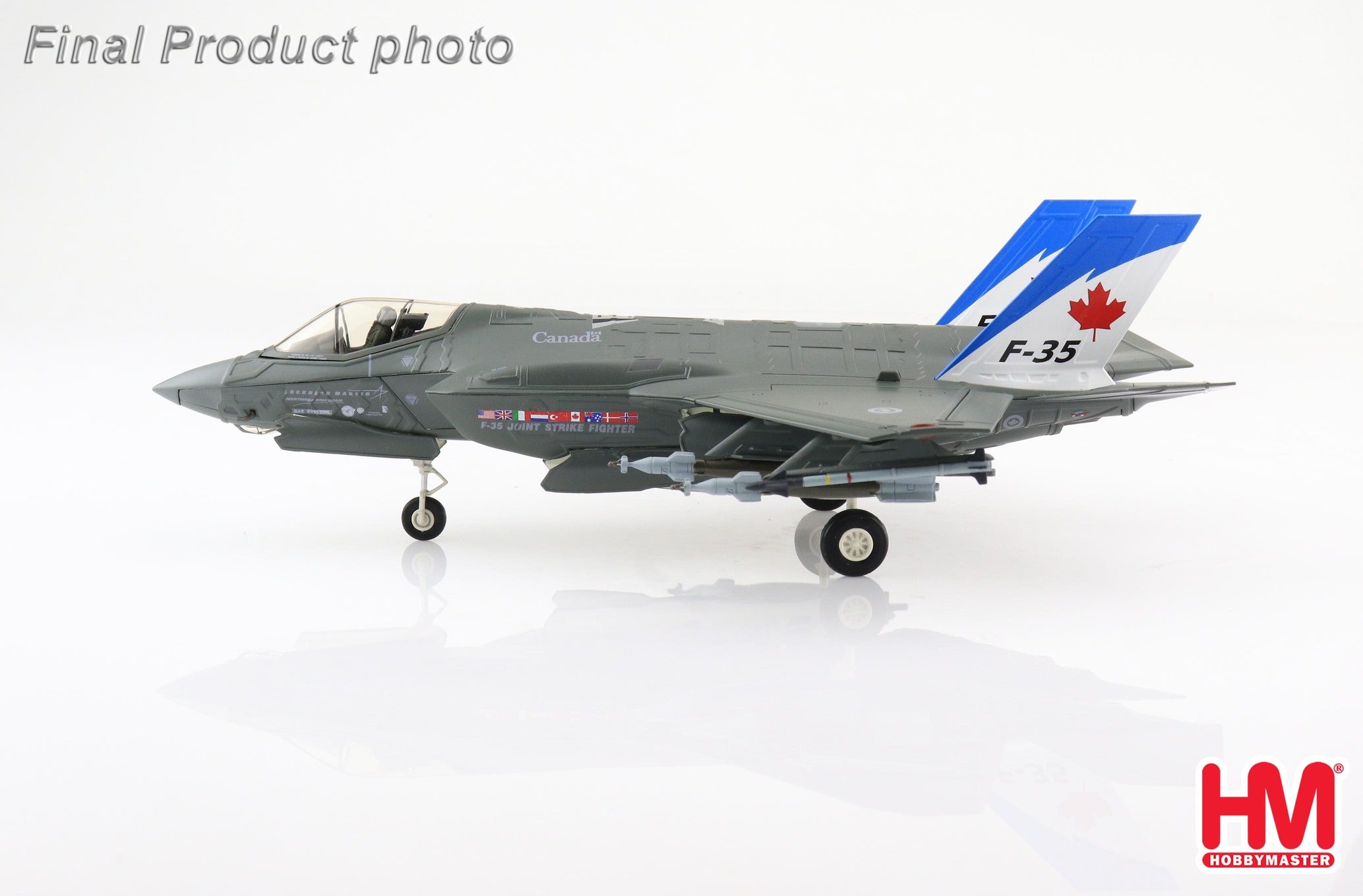 F-35A Royal Canadian Air Force mockup (life-size model) Ottawa Air and Space Museum collection 2010 1/72 [HA4429]