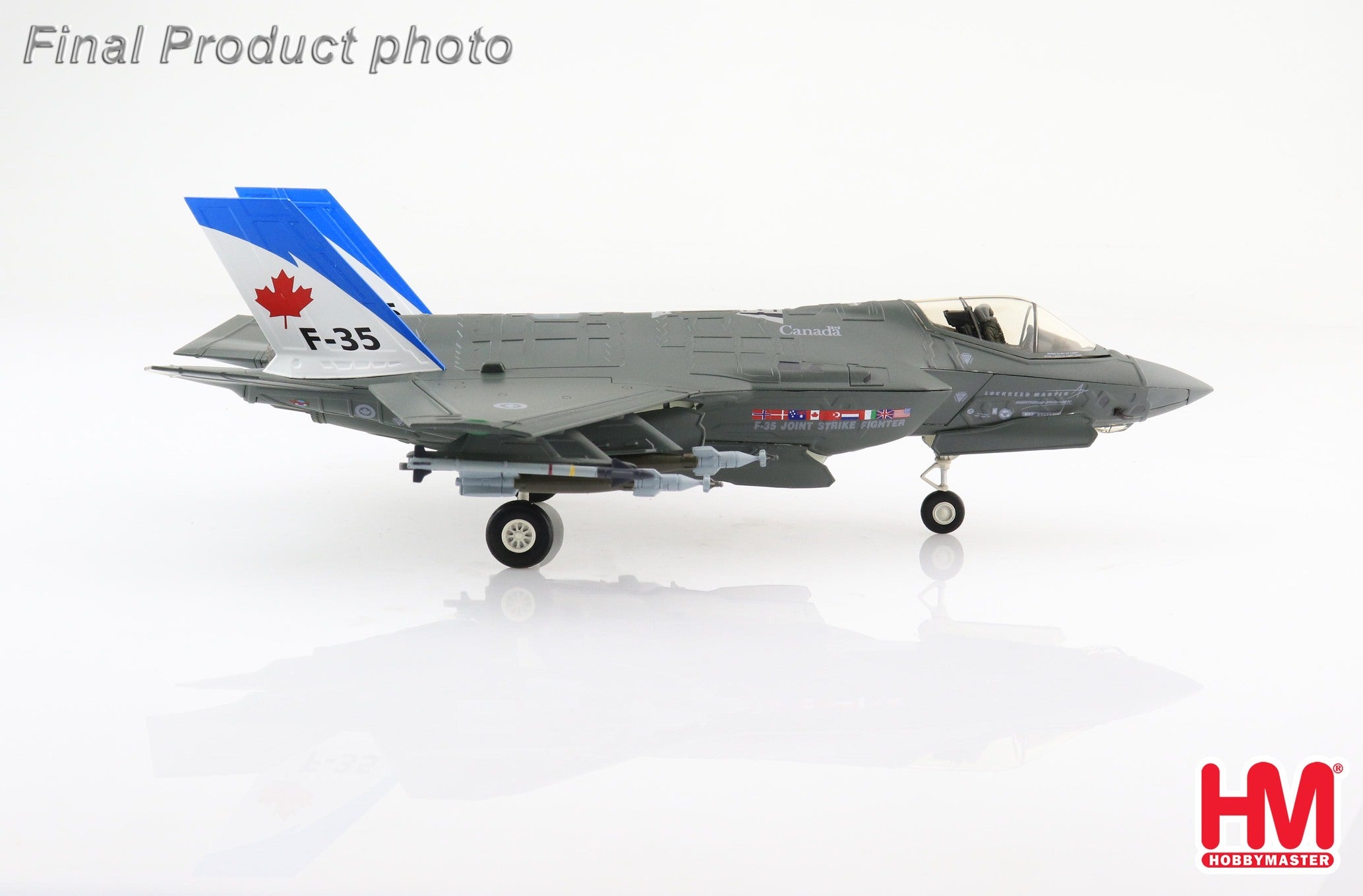 F-35A Royal Canadian Air Force mockup (life-size model) Ottawa Air and Space Museum collection 2010 1/72 [HA4429]