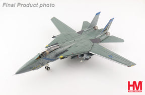 F-14B アメリカ海軍 第143戦闘飛行隊「ピューキンドッグス」 不朽の自由作戦（アフガニスタン戦）時 空母ジョン・F・ケネディ搭載 2002年 AG100/#163220 1/72 [HA5243]