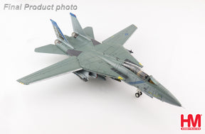 F-14B アメリカ海軍 第143戦闘飛行隊「ピューキンドッグス」 不朽の自由作戦（アフガニスタン戦）時 空母ジョン・F・ケネディ搭載 2002年 AG100/#163220 1/72 [HA5243]