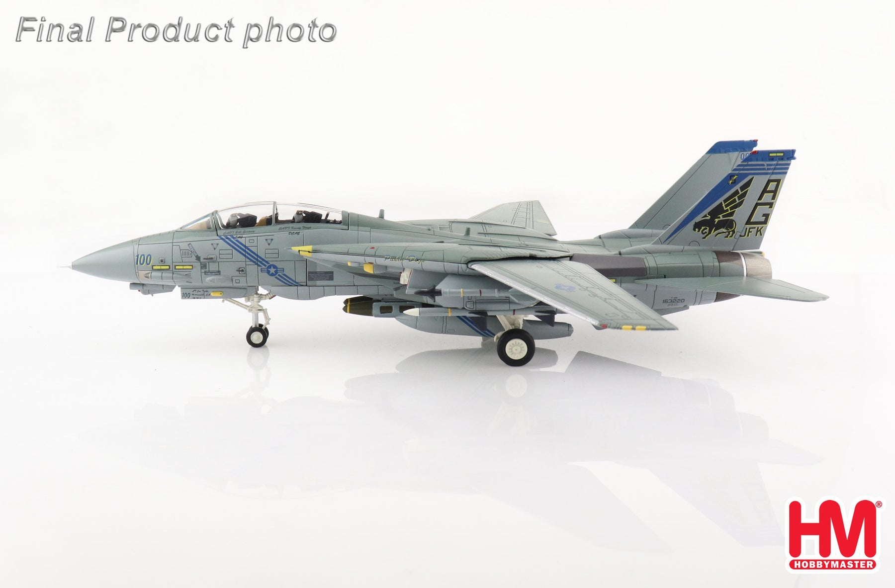 F-14B アメリカ海軍 第143戦闘飛行隊「ピューキンドッグス」 不朽の自由作戦（アフガニスタン戦）時 空母ジョン・F・ケネディ搭載 2002年  AG100/#163220 1/72 [HA5243]