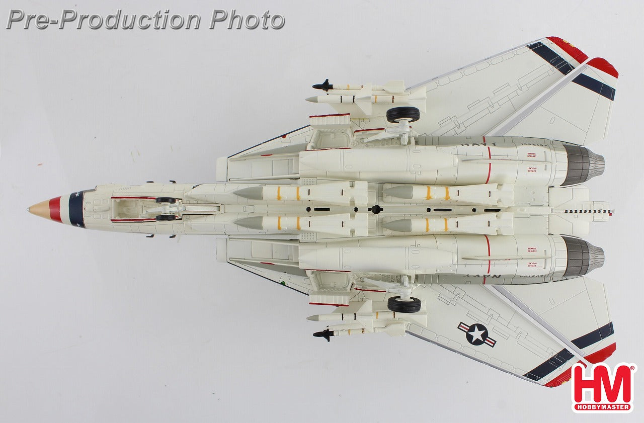 絵画 flk040124 Hobby Master F-14A アメリカ海軍 VF-124 「Bicentennial Scheme
