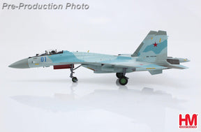 Su-35S「フランカーE」 ロシア航空宇宙軍 第116戦闘訓練センター 仮想敵機 プリヴォルジュスキー基地・アストラハン 2022年9月 #01 1/72[HA5713](20230930WE)