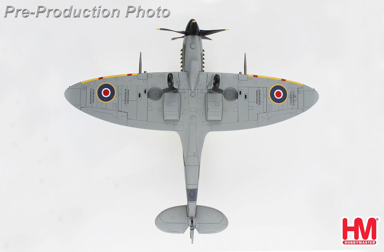 Spitfire Mk.XIV, RAF No. 125 Squadron, Denmark, 1945, 1/48 [HA7114]