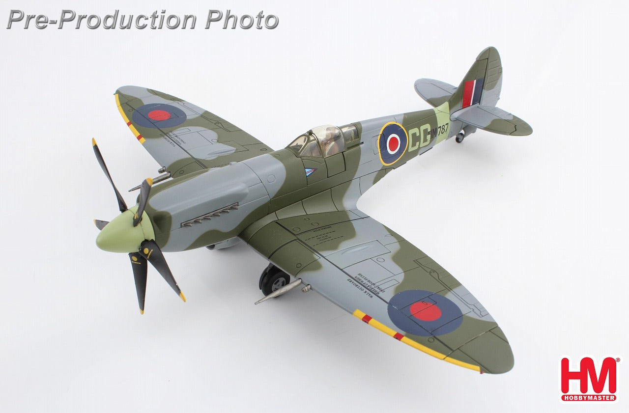 Spitfire Mk.XIV Royal Air Force Colin Falkland Gray 1/48 [HA7115]