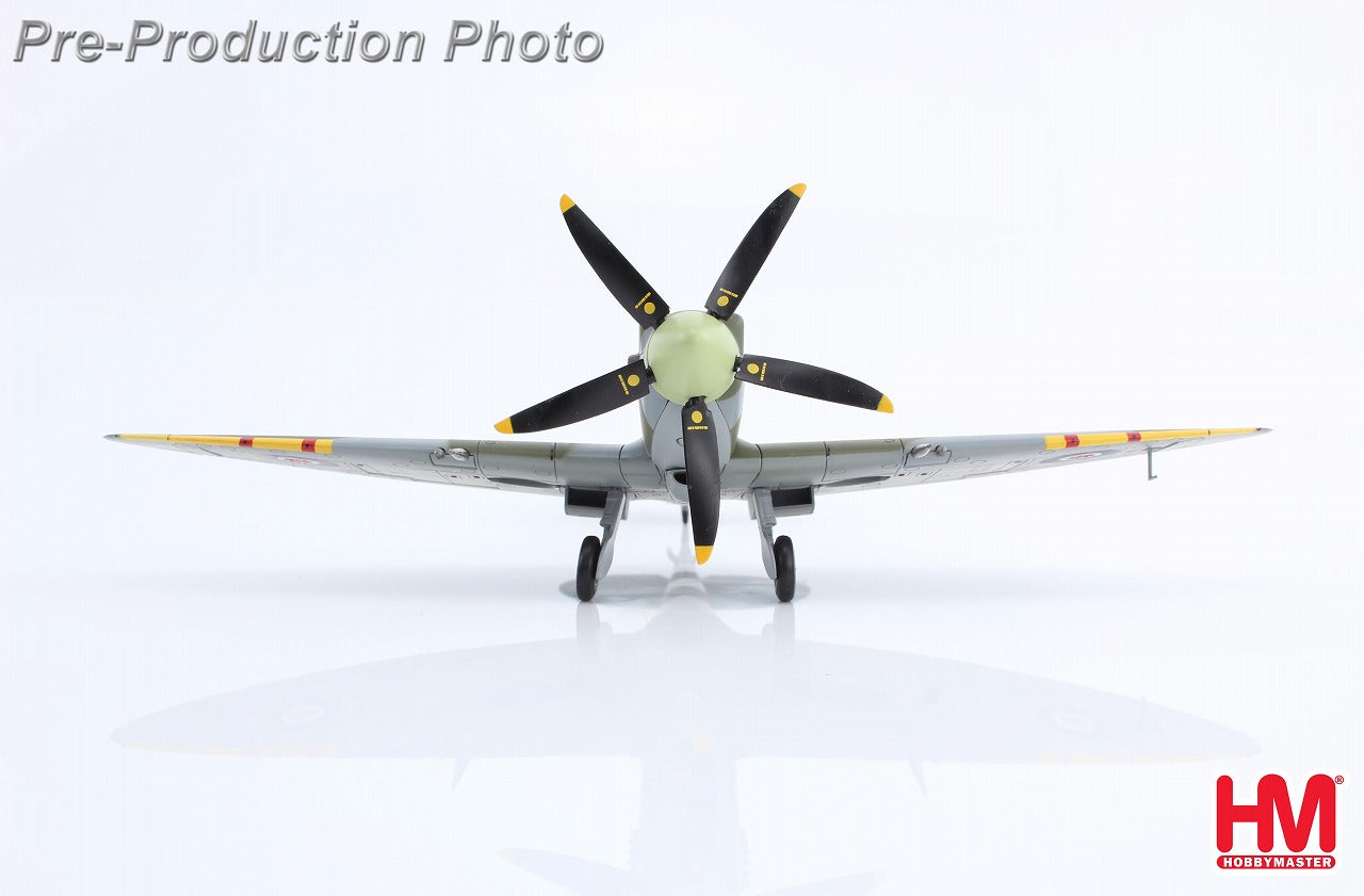 Spitfire Mk.XIV Royal Air Force Colin Falkland Gray 1/48 [HA7115]