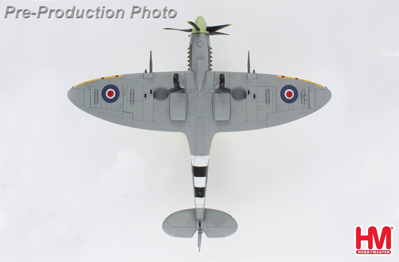 スピットファイア Mk.XIV イギリス空軍 コリン・フォークランド・グレイ機 1/48 [HA7115]
