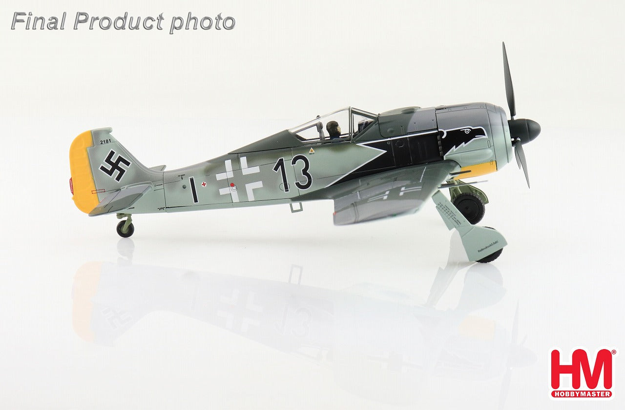 Fw190A-3 Focke-Wulf German Air Force 2nd Fighter Wing Black 13 1/48 [HA7429] 