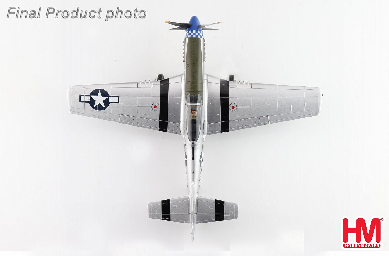 P-51D マスタング アメリカ陸軍航空隊 「グリム・リーパー 1945」 1/48 [HA7755]