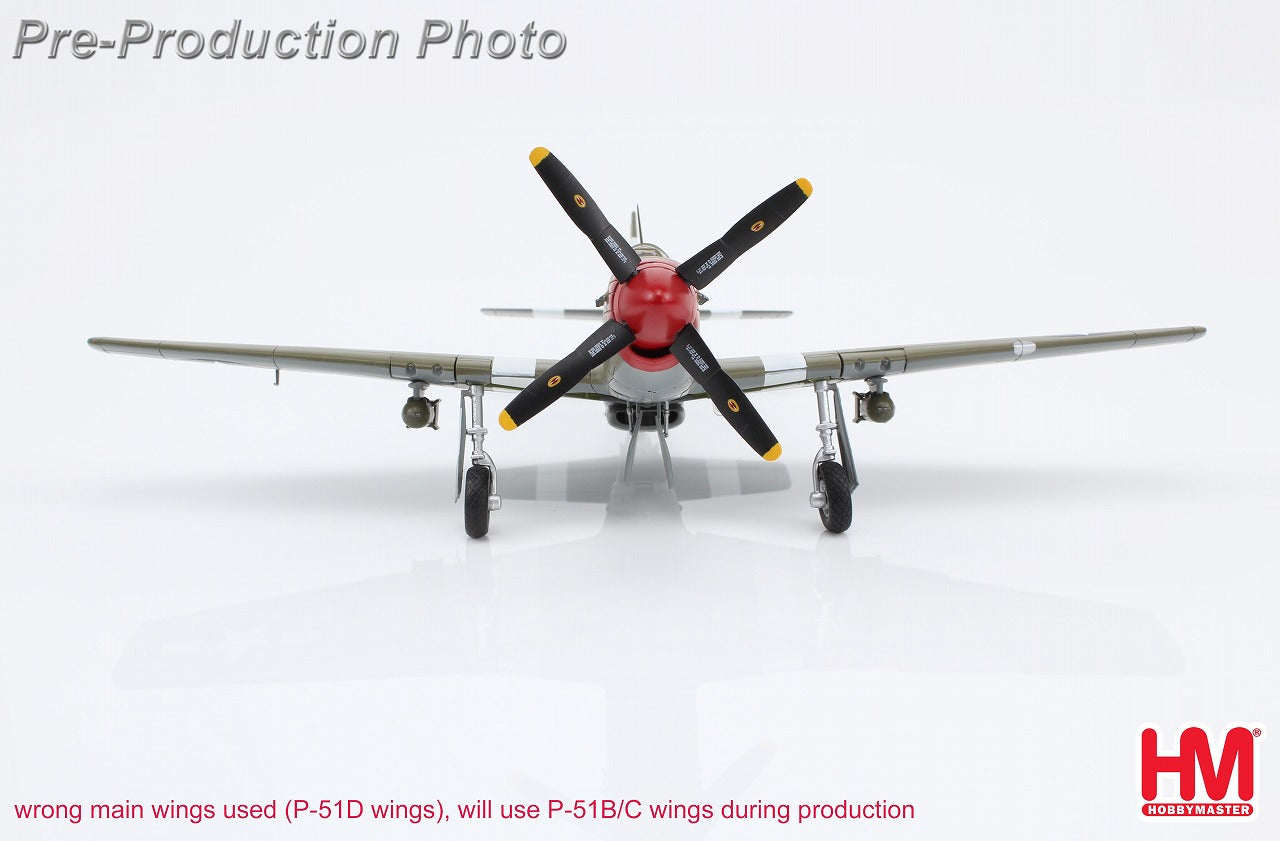 Hobby Master P-51B アメリカ陸軍航空軍 第4戦闘航空群 第334